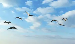 爱游戏-这也行？风云突变新奥尔良鹈鹕加时末段远射贴柱窗口期芝加哥公牛调整名单以备国王杯，尼斯围绕西甲伤情更新